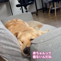 「さすがに眠たい…」