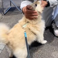 微笑ましいふたり