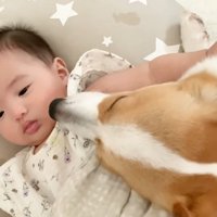 「僕がいるから寂しくないよ！」