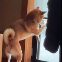 リクくんにハプニング発生2