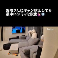 バレないで家を出られるか挑戦2