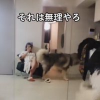 「なんか違う…」