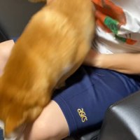 「構ってくれないなら、もういいわ」