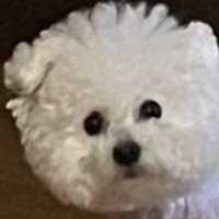 ふわもこ