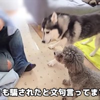 感情が大爆発！！