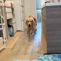 キッチンの方へ移動