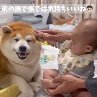 笑顔の柴雄くん