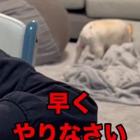 「宿題やりなさい」