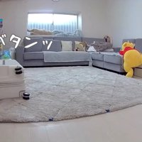 スーツケースを倒しちゃった