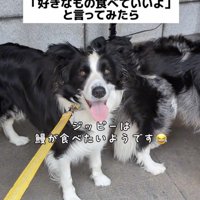 「鰻、お願いします！」