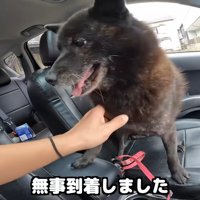 実家に到着すると大興奮！