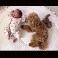 見守るりのちゃん