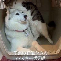 距離が近すぎるローズちゃんとロイくん