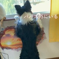 外にいないか確認中