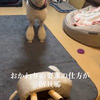 「早くおかわり持ってこいよ！」