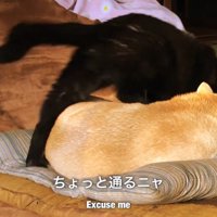 もしかして嫌がらせ…？（笑）