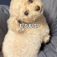 ゆらちゃん、可愛さ大爆発