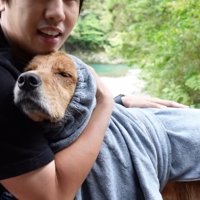 遊び疲れてウトウト…