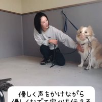 撫でられるそらくん