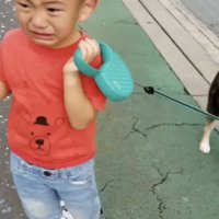 泣きながら散歩