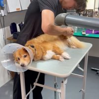 リラックスした表情に