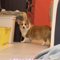 「取れへんのですけど…」