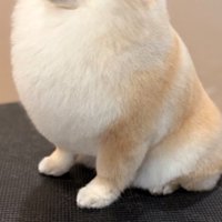 立派に成長