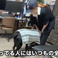 おばあちゃんに会うと大喜び♪
