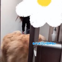 降りてきた女性