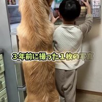 5歳の男の子とトトちゃん