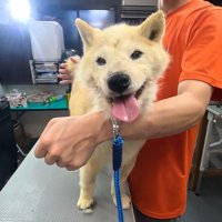 嬉しそうな笑顔♪