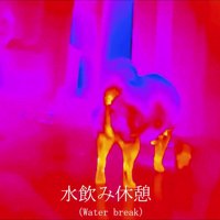 水飲み場へ移動