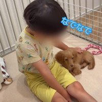 可愛すぎるやり取り
