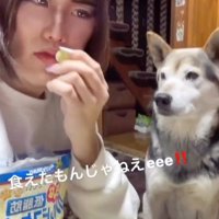 匂いをチェック