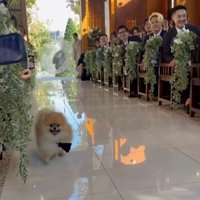 笑顔のチャックくん