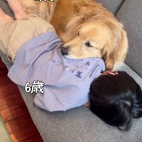 一緒に成長して…