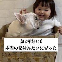 子どもと箱に入る犬