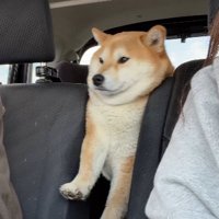 静かに