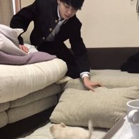 クッションを床に置く人と犬