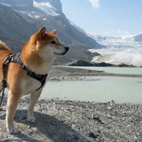 氷河の近くに到着