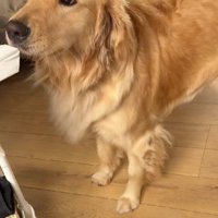 その場で佇むと…