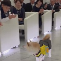 ファンサも抜かりない♡