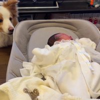 赤ちゃんが泣き始めた