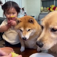 やった！抜けられた！