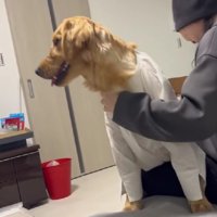 幸せあふれる光景にホッコリ