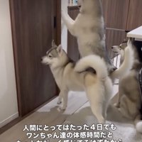 「パパまだかなー！」
