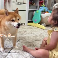 「ごめんね」