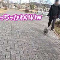 「可愛い」と言ってくれていますが…
