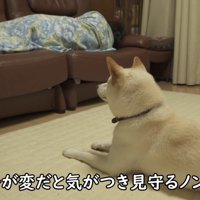 とても心配そう！