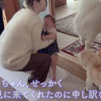 あいちゃんが颯爽と登場